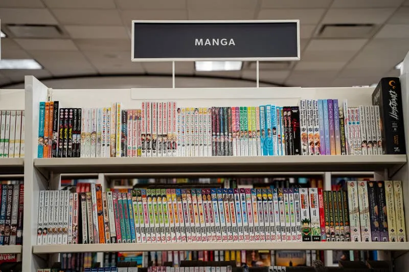 Bleach, Rinse, Repeat: What Happens When Your Favorite Doujin Goes to Barnes & Noble